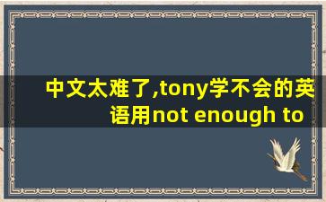 中文太难了,tony学不会的英语用not enough to